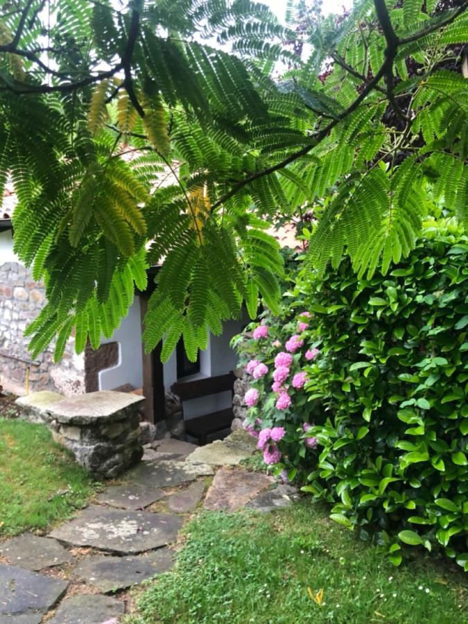Hdec Hosteria De Castaneda Alojamiento Turistico Puente Viesgo Eksteriør bilde